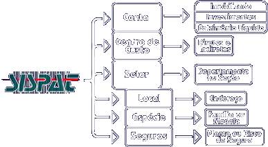 ilustração qual valor do seu patrimonio